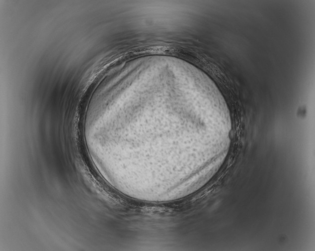 X0000116060242200912111535