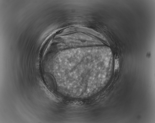 X0000116060243200912111535