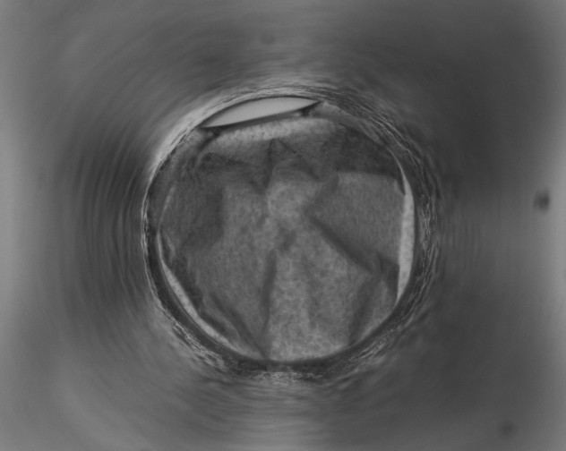 X0000116060244200912111535