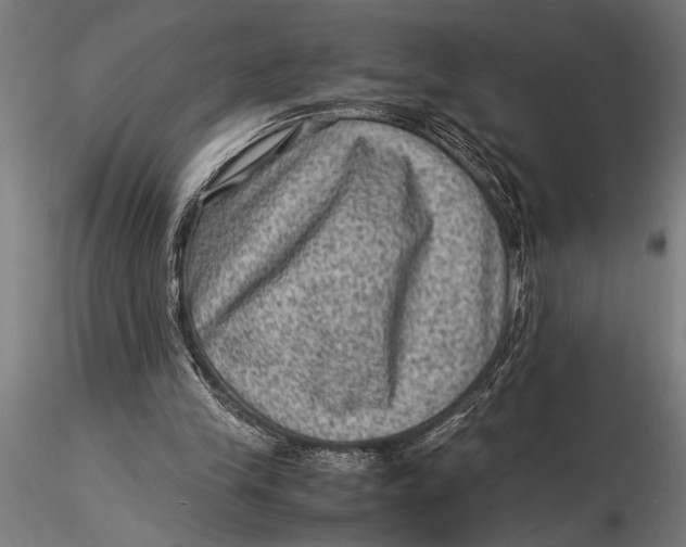 X0000116060245200912111535