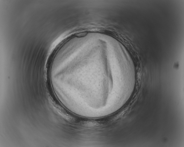 X0000116060246200912111535