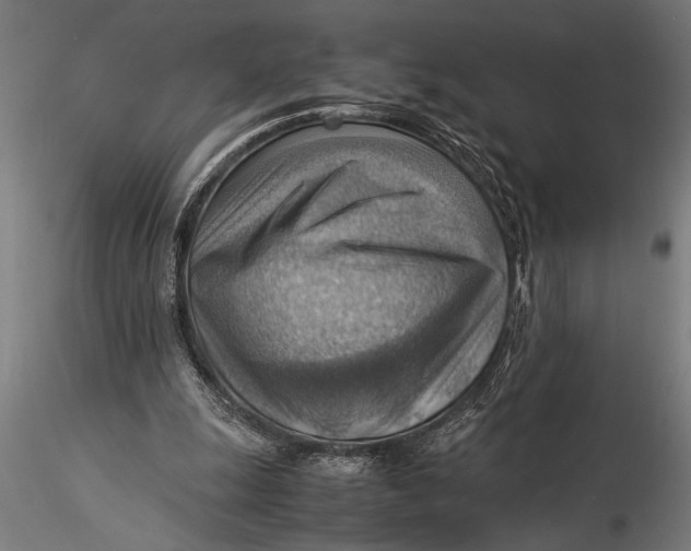 X0000116060247200912111535