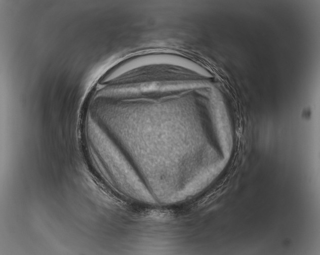 X0000116060248200912111535