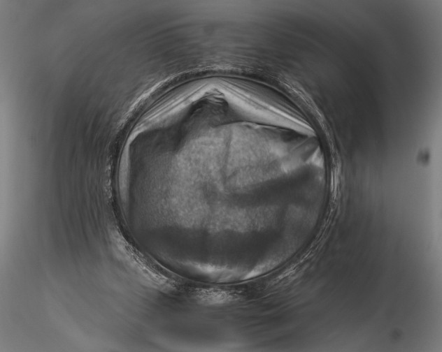 X0000116060249200912111535