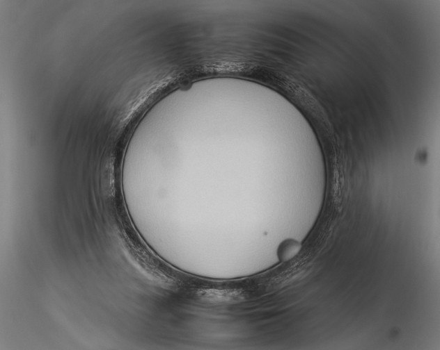X0000116060251200912111535