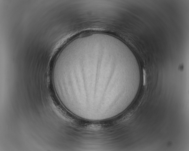 X0000116060252200912111535