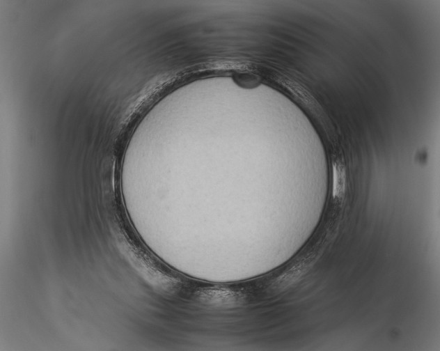 X0000116060253200912111535
