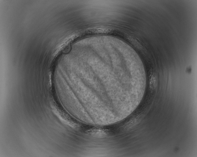 X0000116060254200912111535