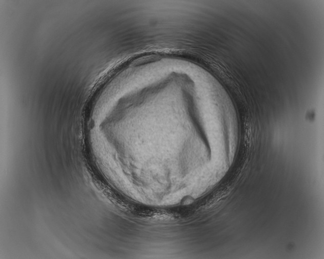 X0000116060256200912111535