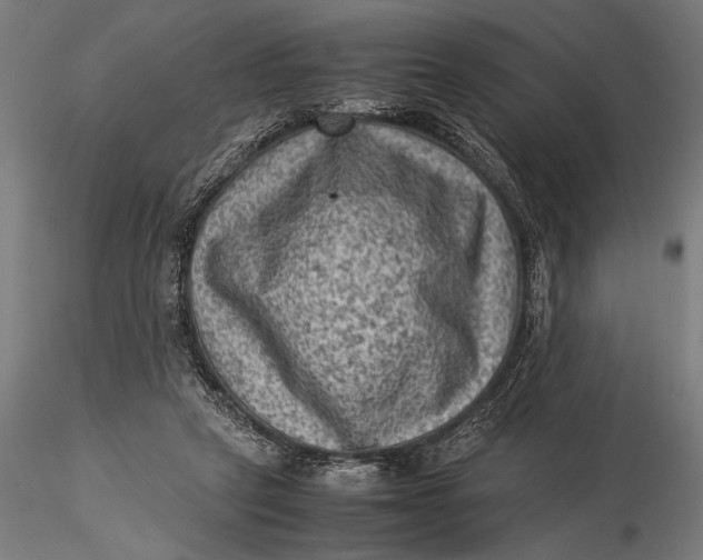 X0000116060257200912111535