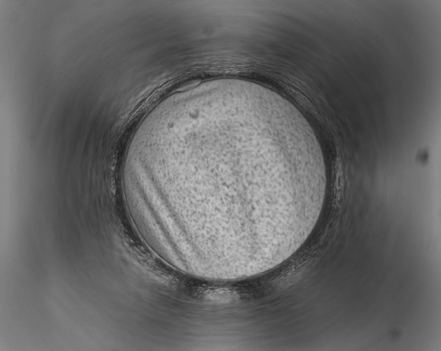 X0000116060258200912111535