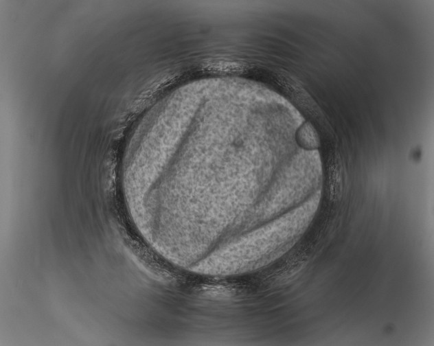 X0000116060259200912111535