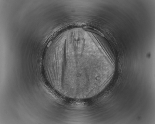 X0000116060260200912111535