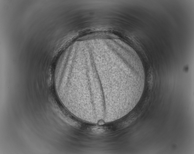 X0000116060261200912111535