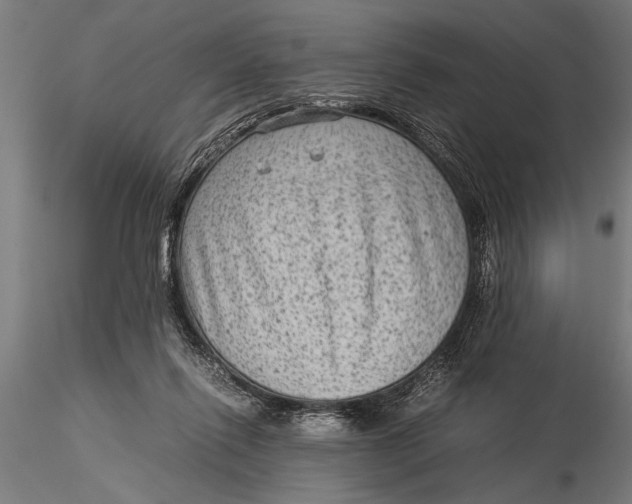 X0000116060262200912111535