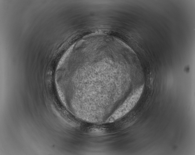 X0000116060263200912111535