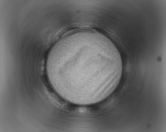 X0000116060264200912111535