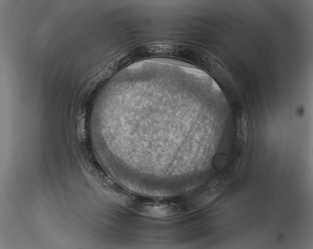 X0000116060267200912111535