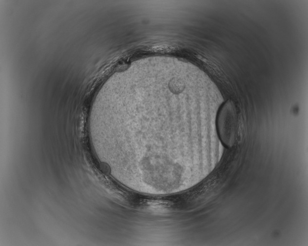 X0000116060268200912111535