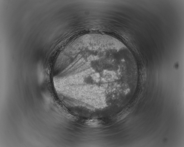 X0000116060269200912111535