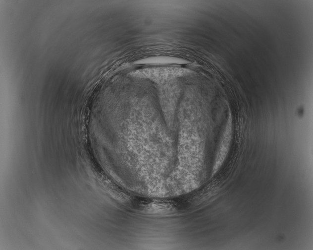 X0000116060270200912111535