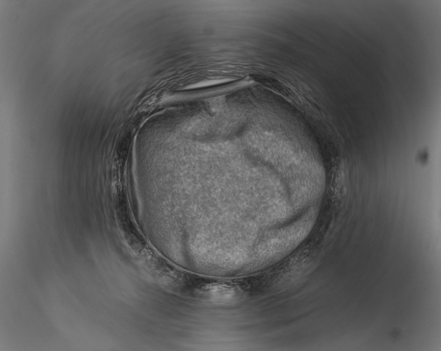 X0000116060272200912111535