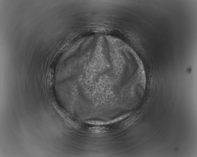 X0000116060273200912111535