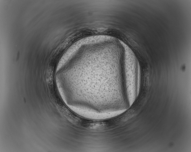 X0000116060274200912111535