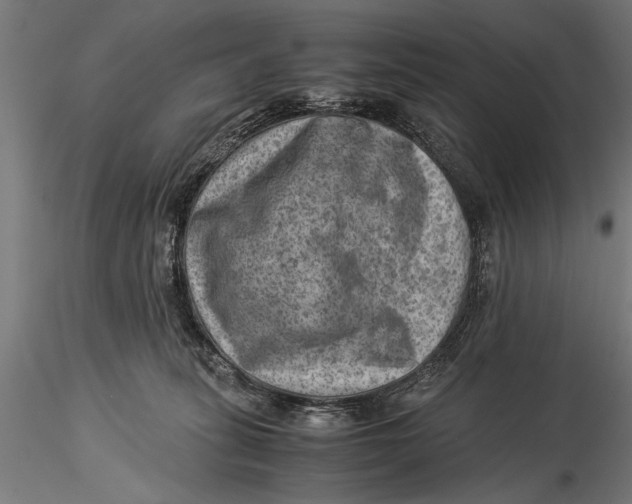 X0000116060275200912111535