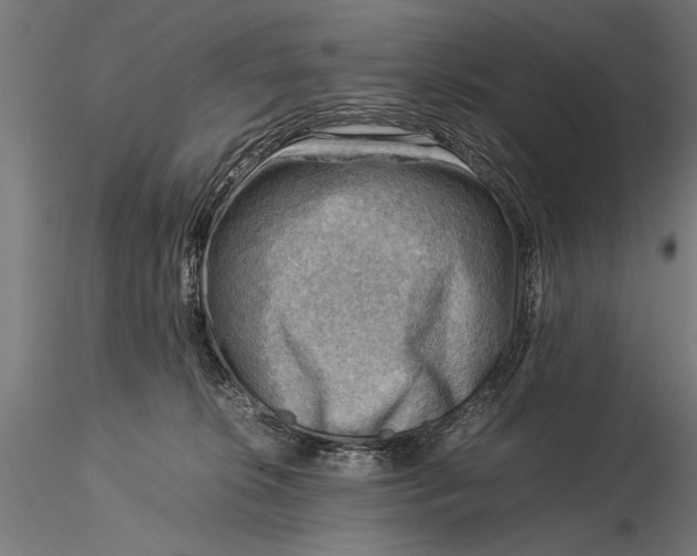 X0000116060276200912111535