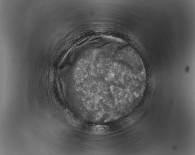 X0000116060277200912111535
