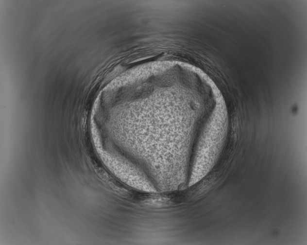 X0000116060278200912111535