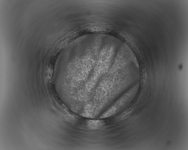 X0000116060281200912111535