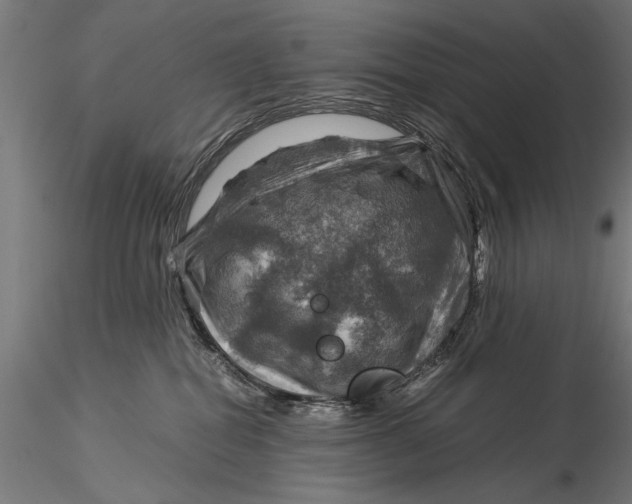 X0000116060282200912111535