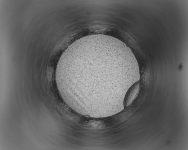 X0000116060283200912111535