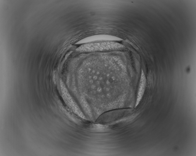 X0000116060286200912111535