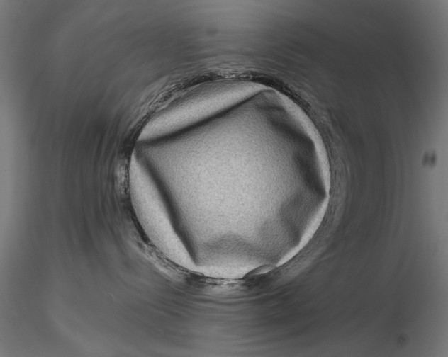 X0000116060288200912111535