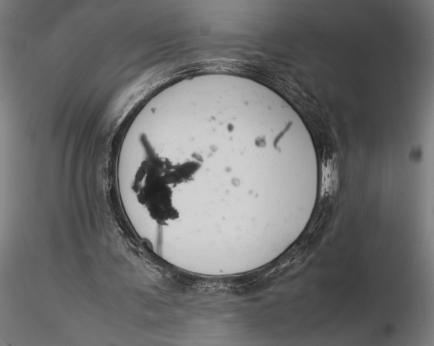 X0000116060291200912111535