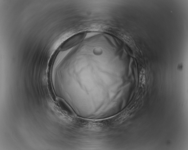 X0000116060292200912111534