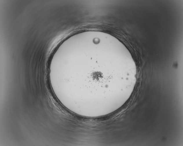 X0000116060293200912111534