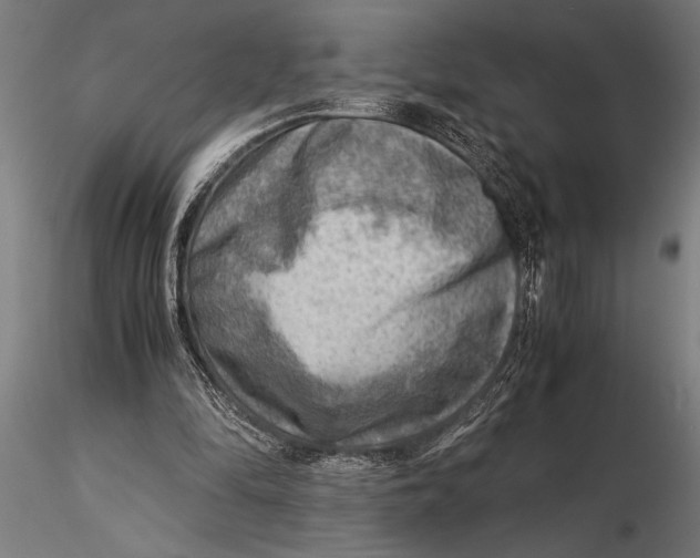 X0000116060294200912111534