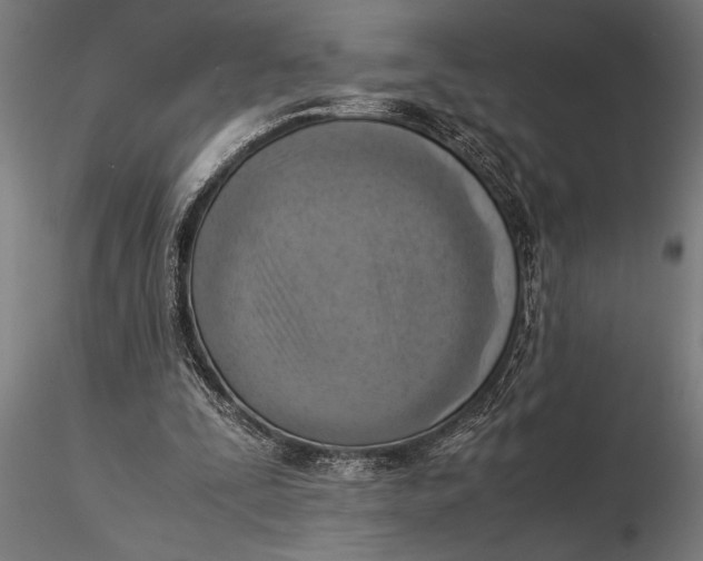 X0000116060295200912111534