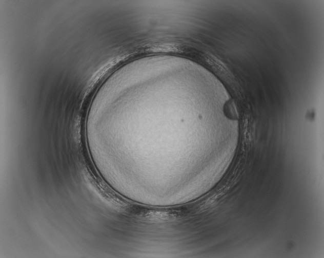 X0000116060298200912111534