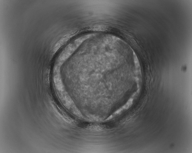 X0000116060299200912111534