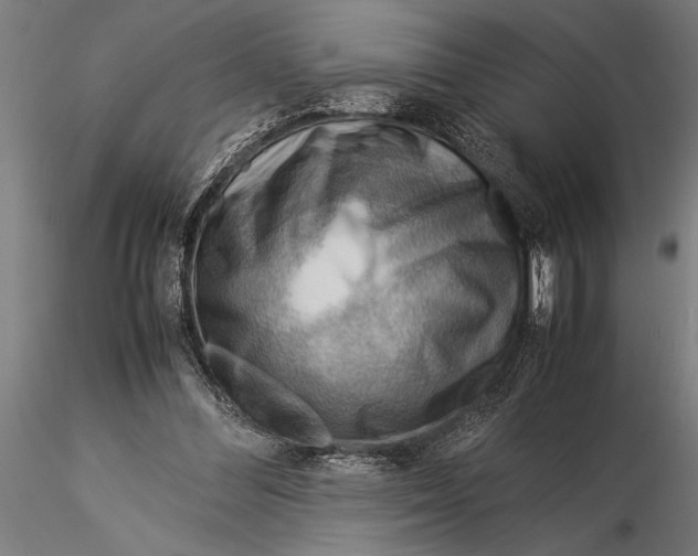 X0000116060300200912111534