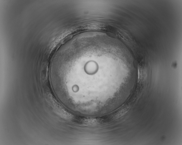 X0000116060301200912111534