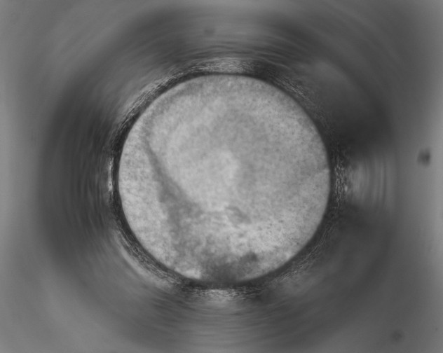 X0000116060302200912111534