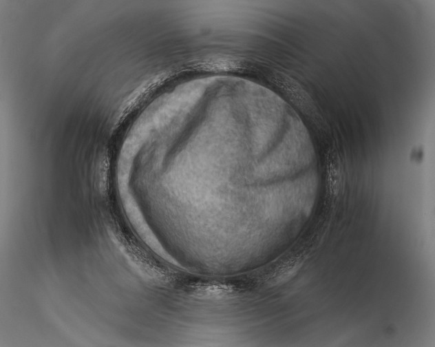 X0000116060304200912111534