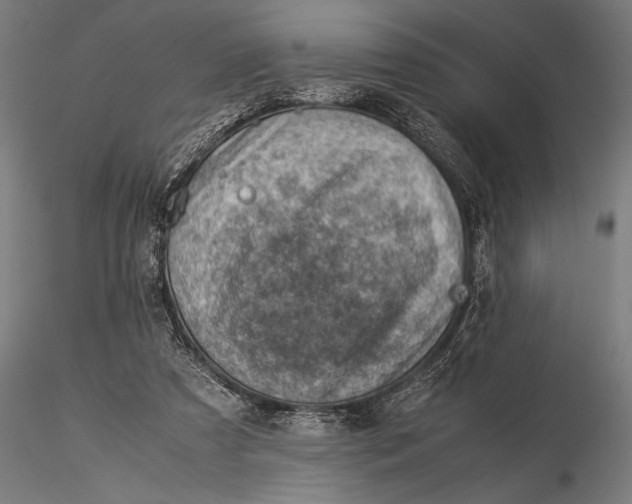 X0000116060305200912111534