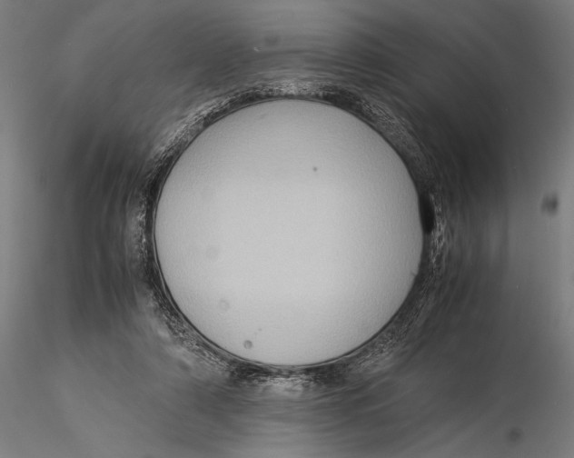 X0000116060306200912111534